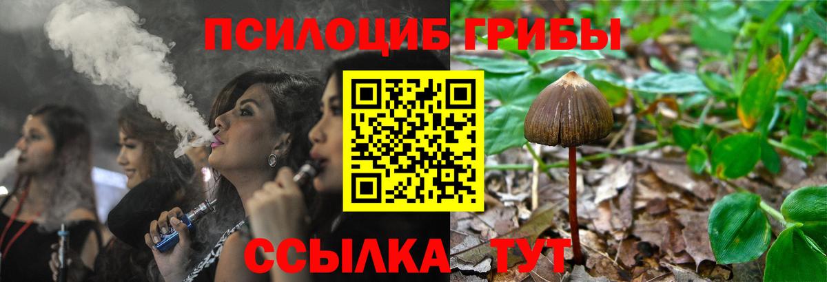 Галлюциногенные грибы Magic Shrooms Севастополь
